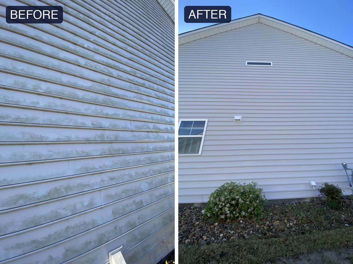 Before and after of algae-covered siding restored by soft washing